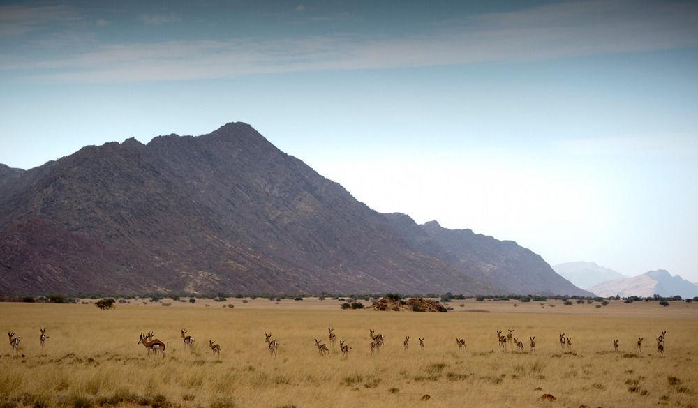 Okahirongo Elephant Lodge Purros エクステリア 写真